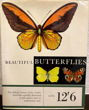 Load image into Gallery viewer, Beautiful Butterflies