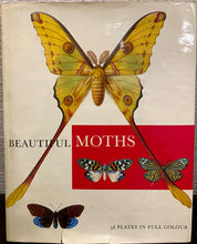 Load image into Gallery viewer, Beautiful Moths