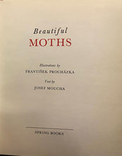 Load image into Gallery viewer, Beautiful Moths