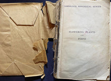 Load image into Gallery viewer, DICTIONARY OF THE FLOWERING PLANTS AND FERNS