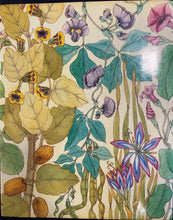 Load image into Gallery viewer, Food from the Veld : Edible wild plants of Southern Africa