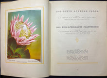 Load image into Gallery viewer, Our South African Flora