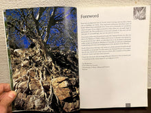 Load image into Gallery viewer, Remarkable Trees of South Africa
