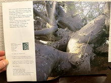 Load image into Gallery viewer, Remarkable Trees of South Africa