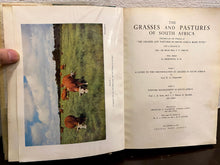 Load image into Gallery viewer, The Grasses & Pastures of South Africa