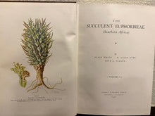 Load image into Gallery viewer, SUCCULENT EUPHORBIEAE (Southern Africa)