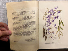 Load image into Gallery viewer, Trees and Shrubs of the Kruger National Park Memoir No.26