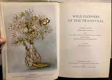 Load image into Gallery viewer, Wild Flowers of the Transvaal - Cynthia Letty