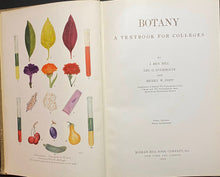 Load image into Gallery viewer, Botany A Textbook for Colleges
