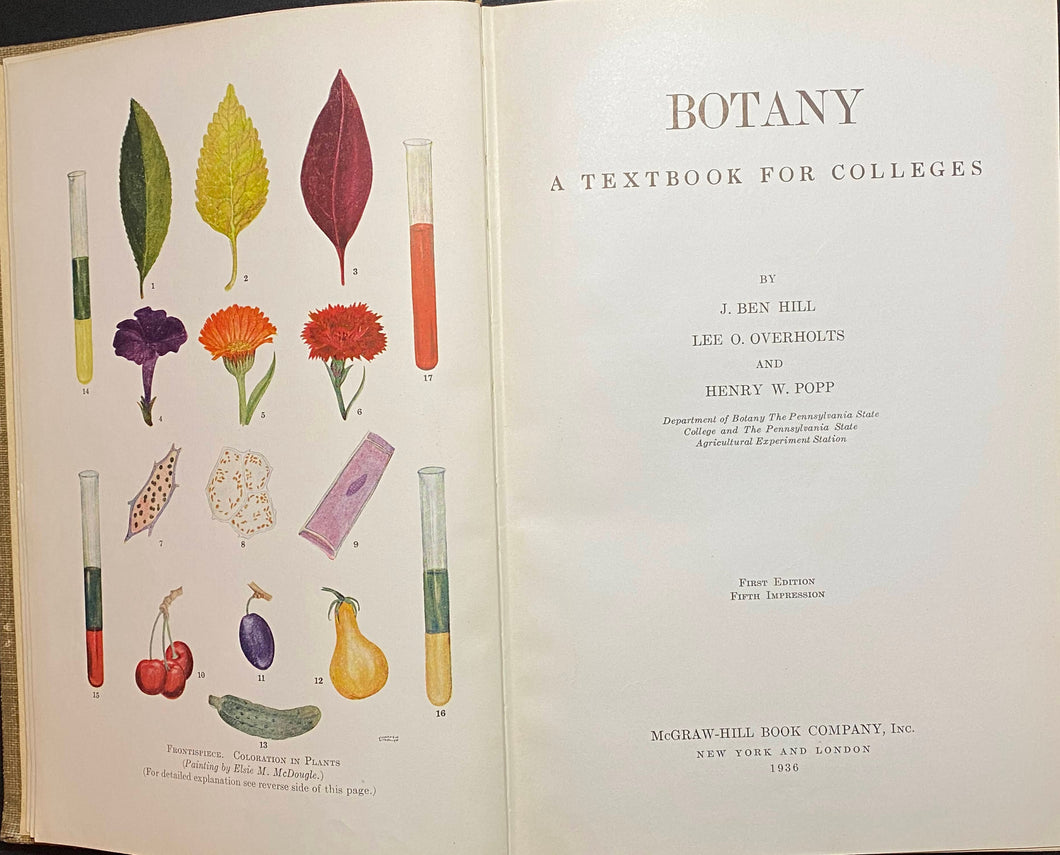 Botany A Textbook for Colleges