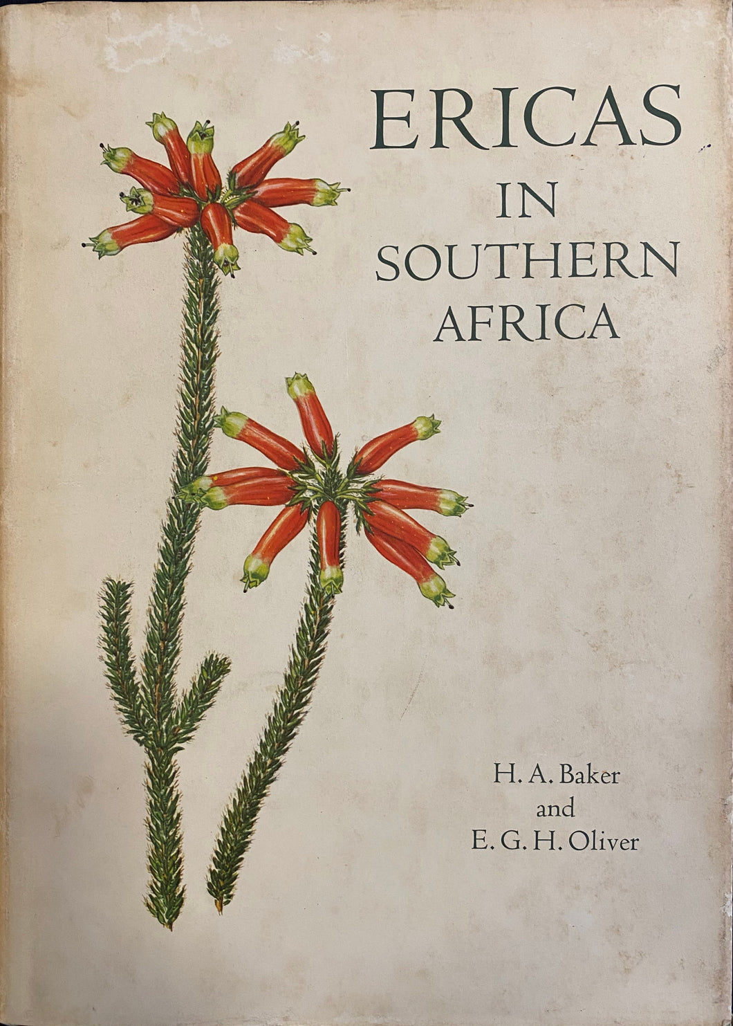 Ericas in Southern Africa