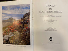 Load image into Gallery viewer, Ericas in Southern Africa
