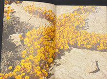 Load image into Gallery viewer, Namaqualand South African Wildflower Guide 1
