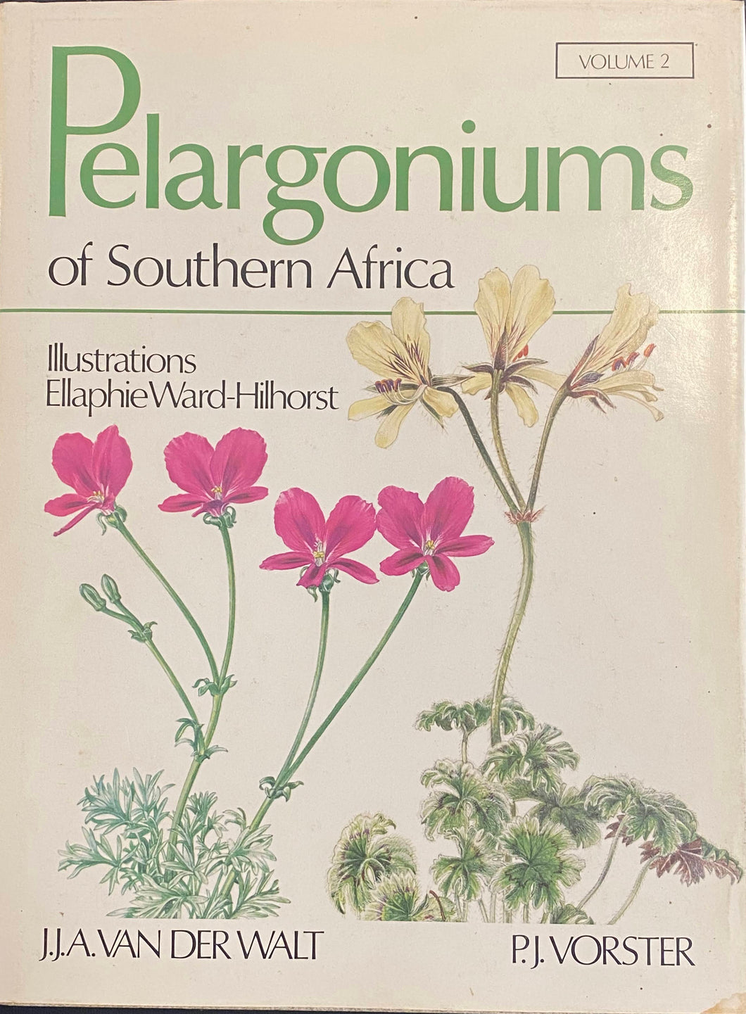 Pelargoniums of Southern Africa Vol. 2