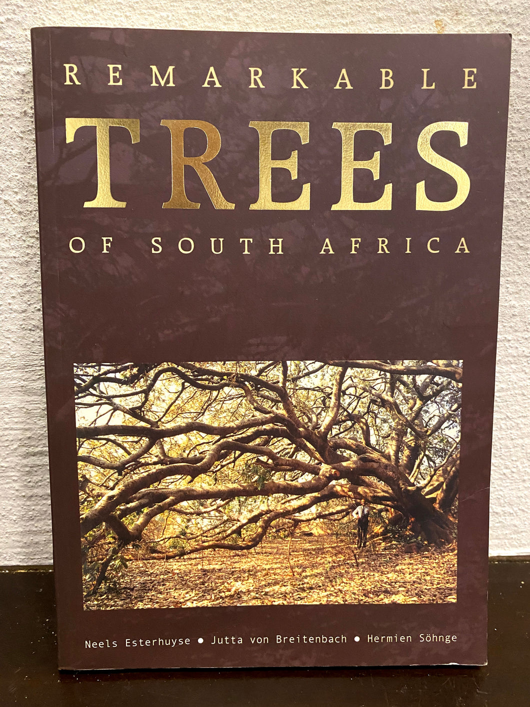 Remarkable Trees of South Africa