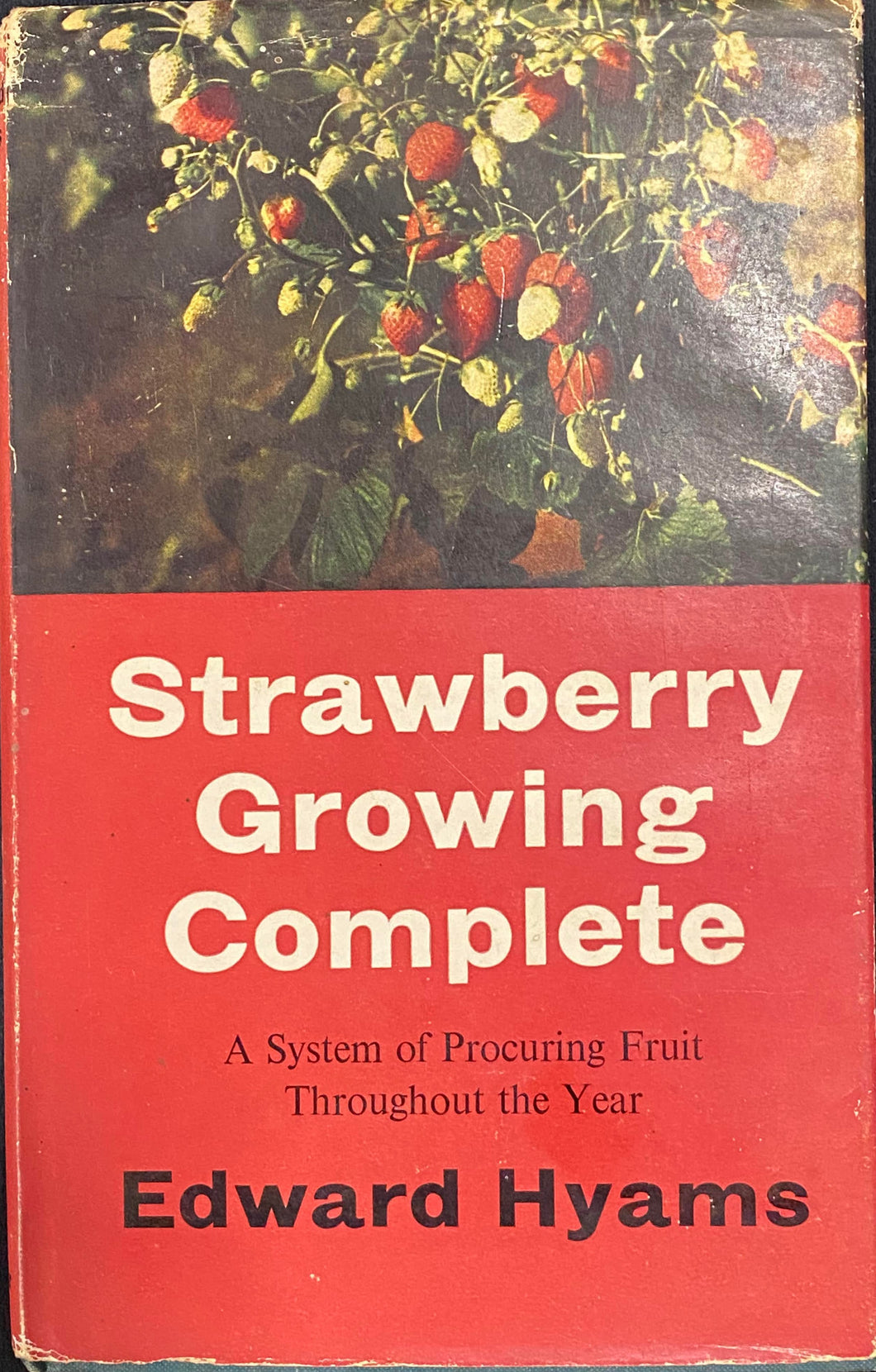 Strawberry Growing Complete