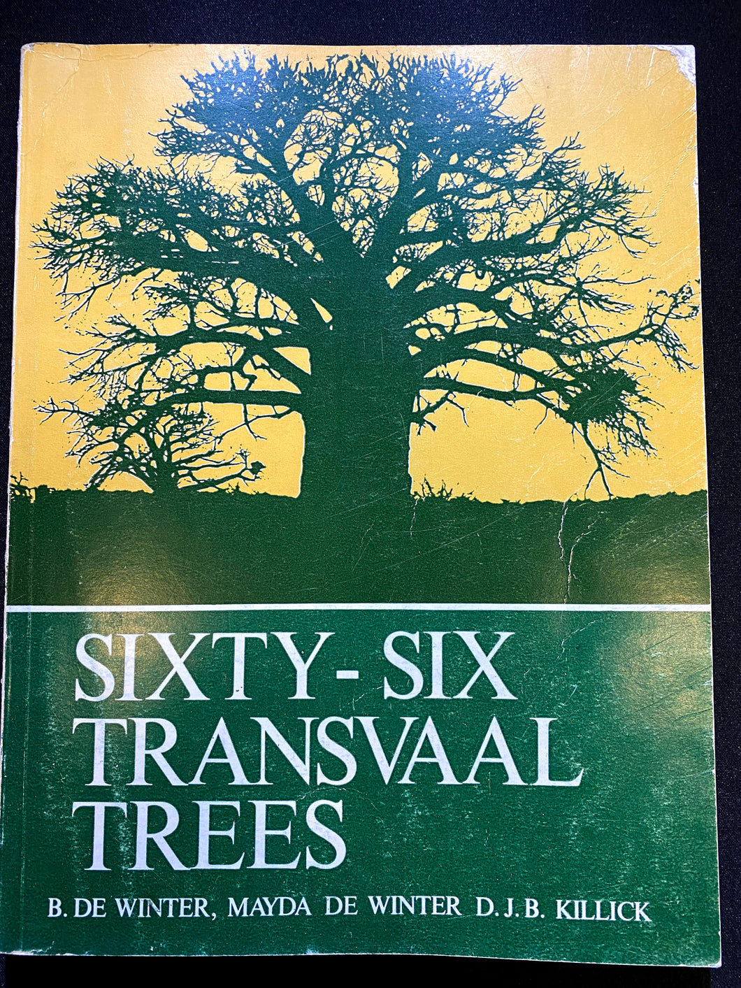 Sixty-Six Transvaal Trees