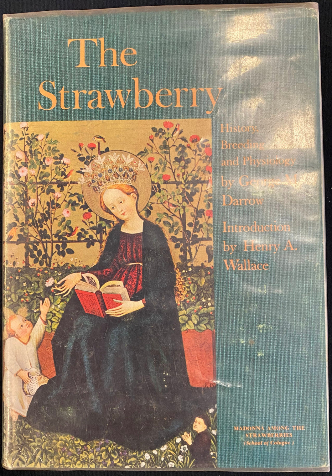 The Strawberry: History, Breeding, and Physiology