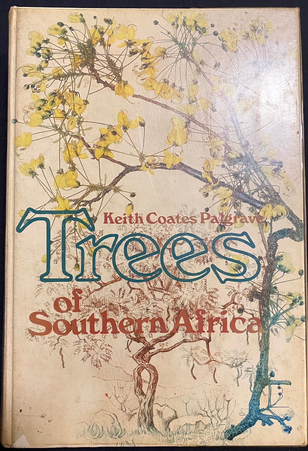 Trees of Southern Africa