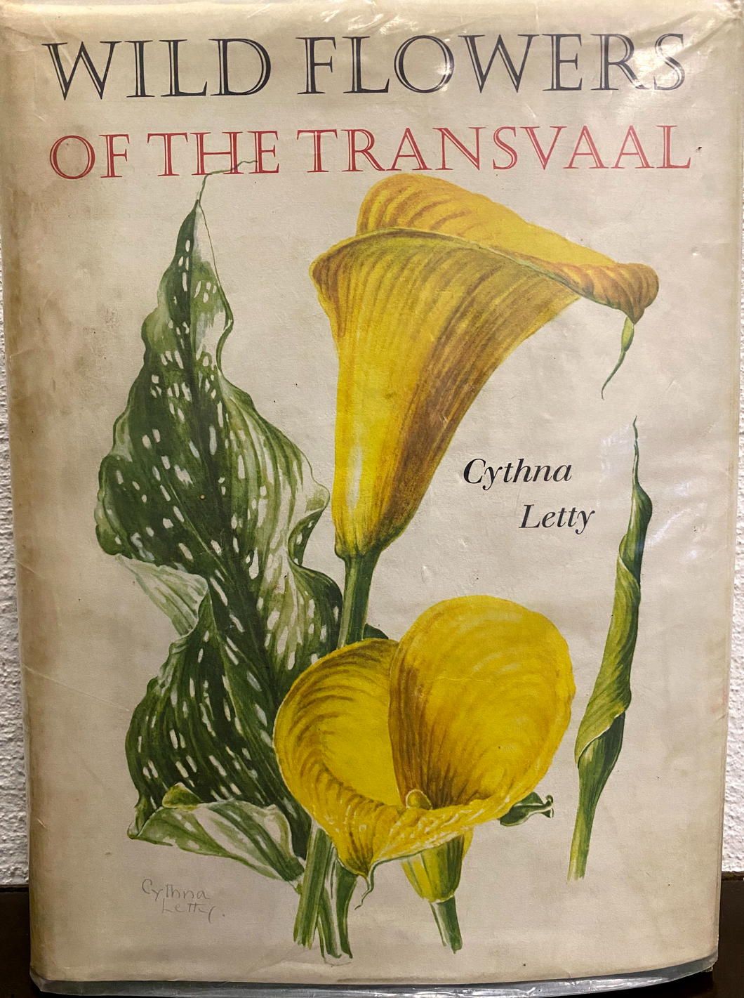 Wild Flowers of the Transvaal - Cynthia Letty